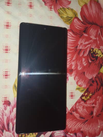 Google Pixel 6 Pro Panel