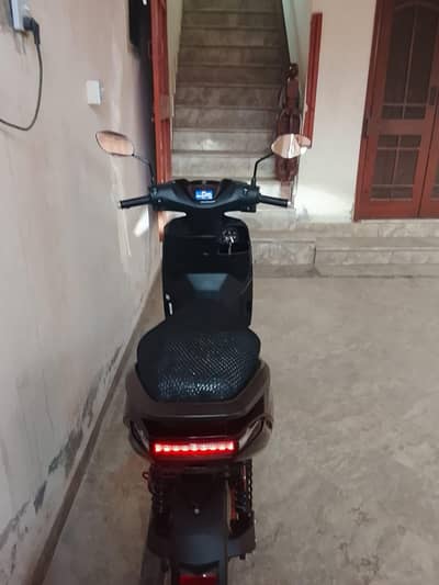 hounda company Scotty