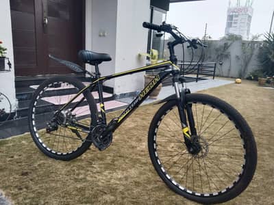 sports 29 inch ful saiz new condition