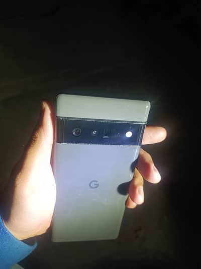 Pixel 6 Pro with excellent camera results