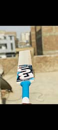 BS Hard Ball Cricket Bat