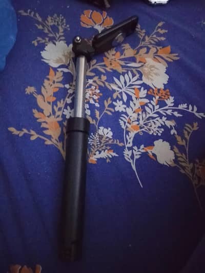 Selfie stick