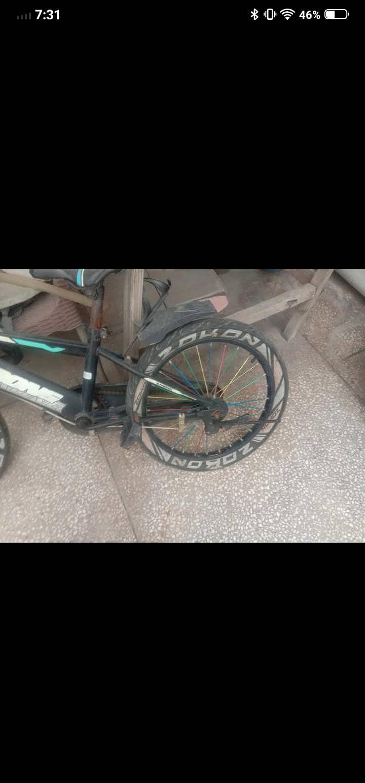 Strong company cycle 1