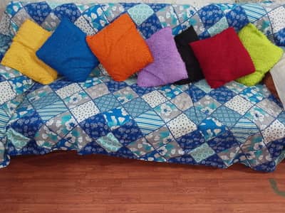 COLOUR FULL CUSHIONS WITH COVER