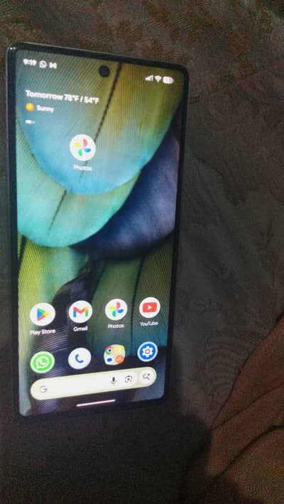 Gogel pical 7 10 by 9 condition