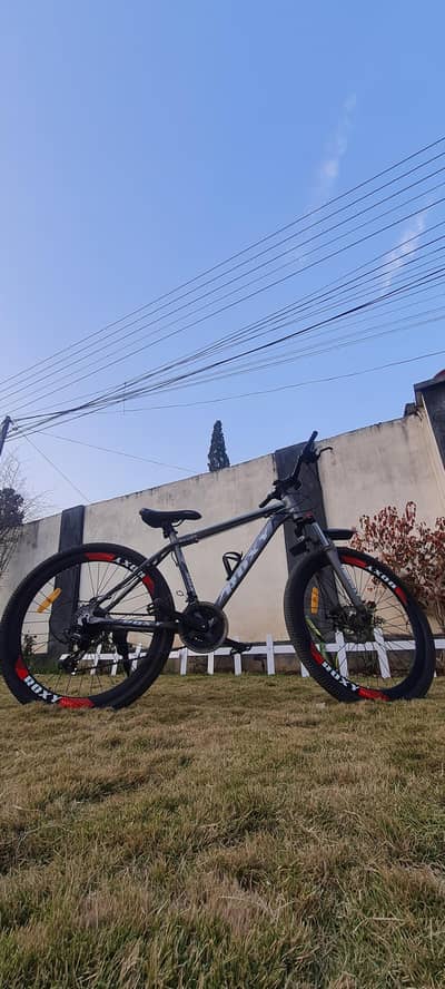 ROXY Mountain Bike - In good condition