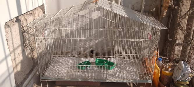 Master cage with Big Toys | 10/10 condition | Freshly painted