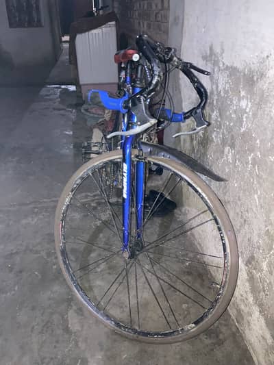 Shimona equipped 700cc japan assembled bicycle