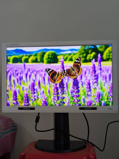 24 inch LED backlight LCD TN panel computer monitor