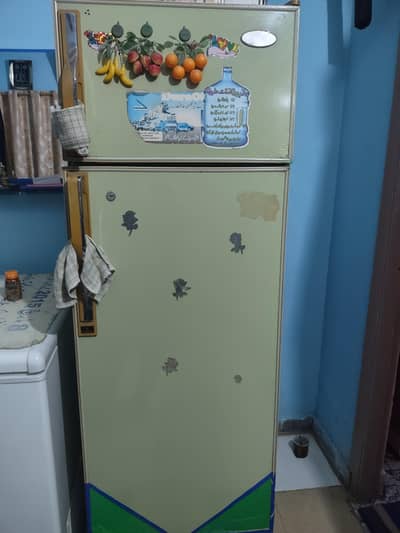 refrigerator and freezer