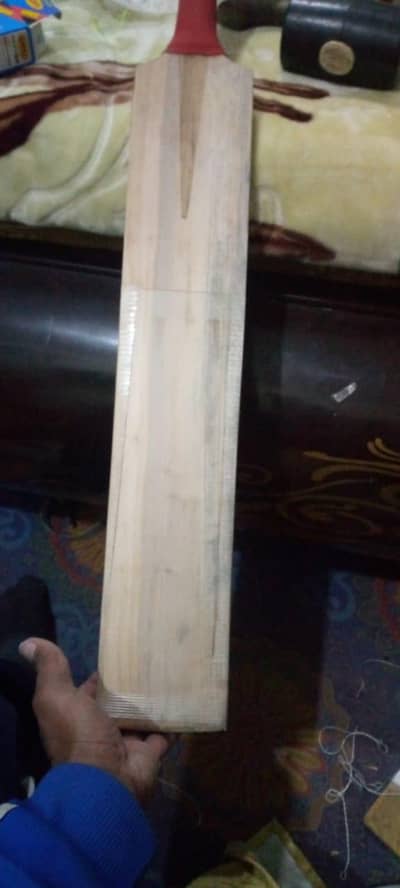 Kelley English wiilow bat