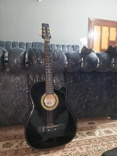 Guitar LevinLand LW-318C
