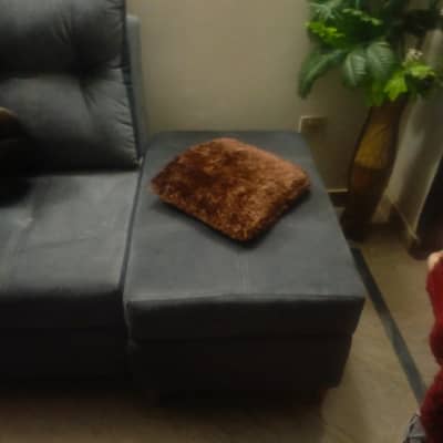 L shaped new sofa for sell