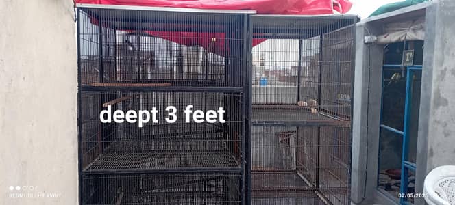 iron love birds cage