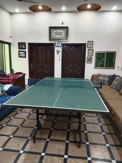 Table Tennis for Youngs of ages 8Years to 100 Years of Age All Gendres