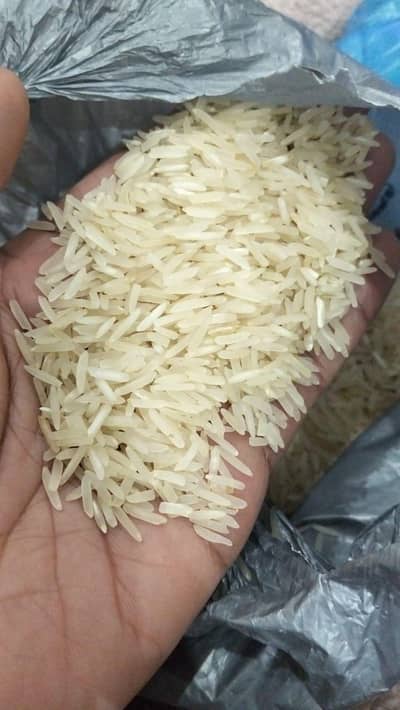 Rice sales ky Chihy