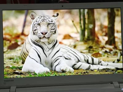 Toshiba Dynabook Core i7 6th Generation 8/256