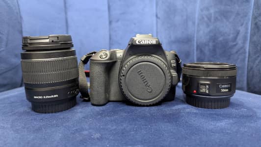 Canon EOS 250D with 18-55mm and 50mm lens.
