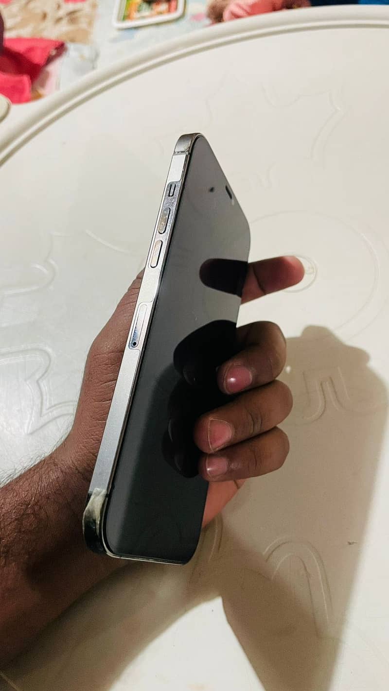 iPhone 12 Pro Max 3