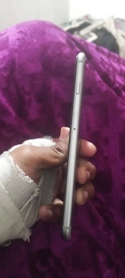 tell me arugent sale