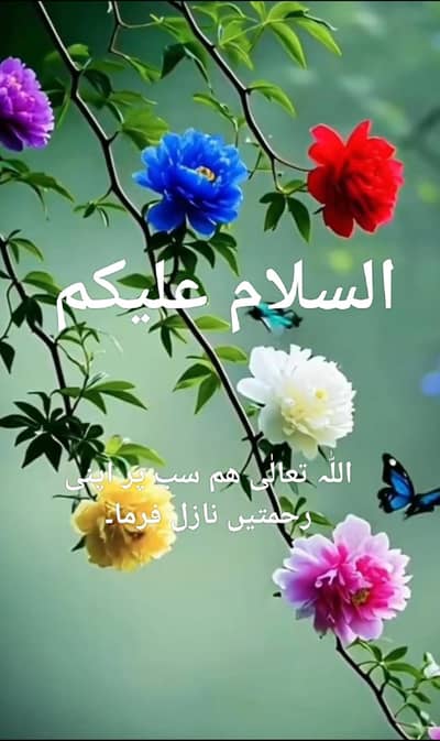 outclass resulted teddy