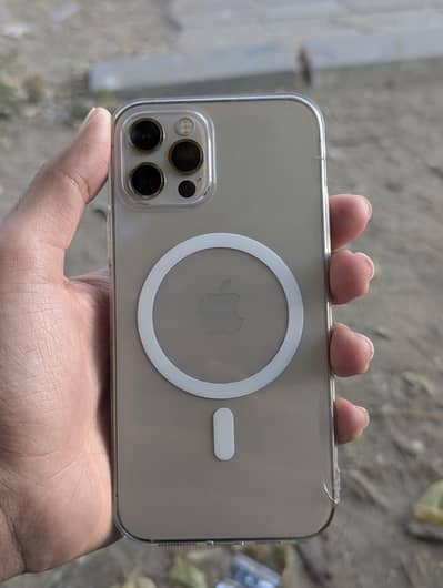 iphone 12 pro only Glass crack other wise all oky no behes