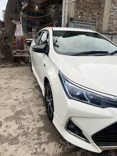Collera Altis 2015 available for sale