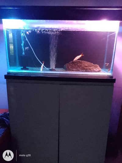 3 feet Fish aquarium