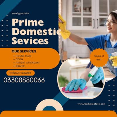 Maid,Babysitter, Cook,Patient attendant,Driver, Helper,Nurses