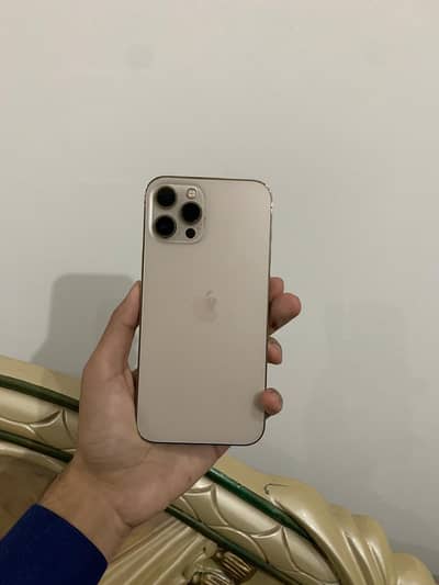 iphone 12 pro max pta approved