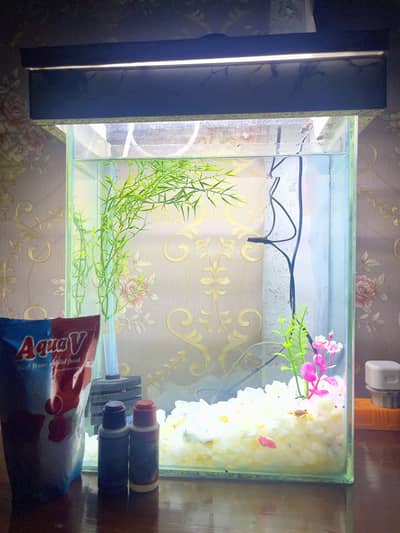 Fish aquarium