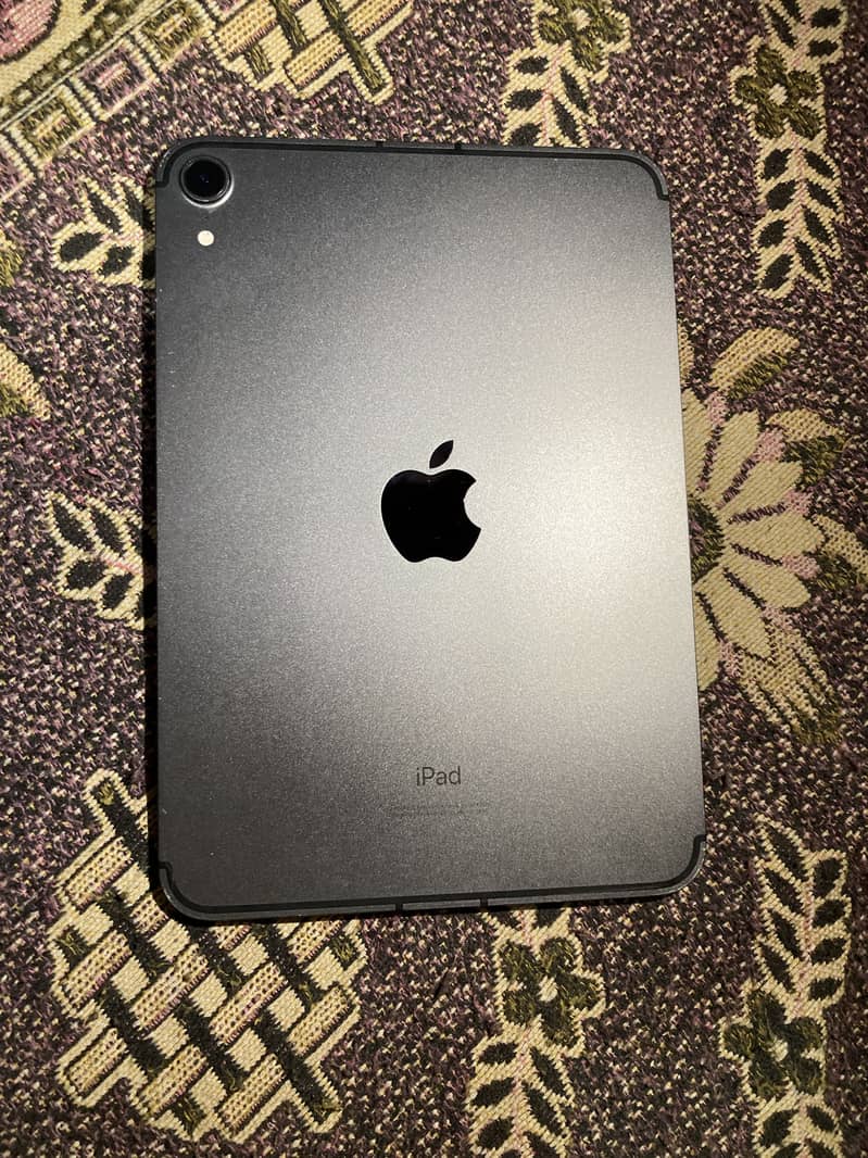 iPad mini 6 0