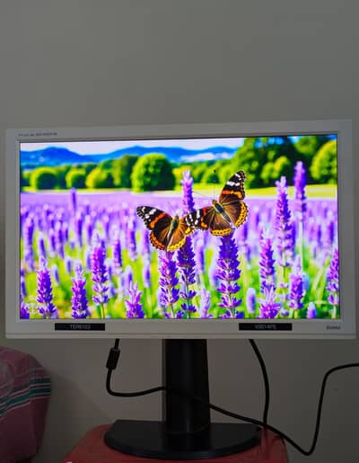24 inch LED backlight LCD TN panel computer monitor