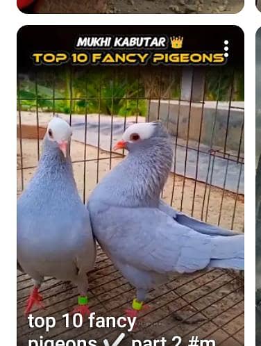 iska Matlab nhi pata