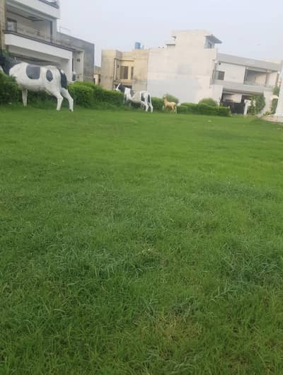 1241 Sq Feet Corner + Facing Park Plot For Sale In Bismillah Housing Scheme