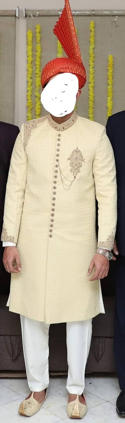 Shairwani Medium size