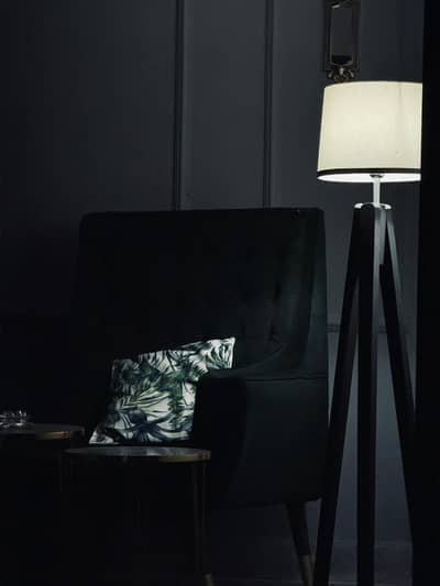 2 Seater Valvet Sofa Lounge Chair with Cuision