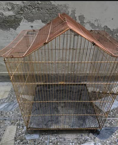 Cage beautifull Birds