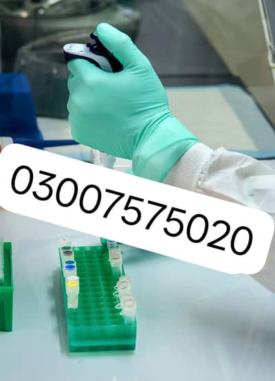 DOCTORS NURSE RECEPTION DR ASSISTANT MBBS FEMALE'S HITING URGENT