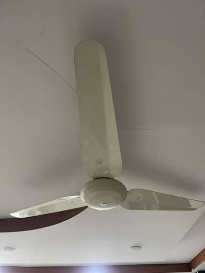 Sk celling fan