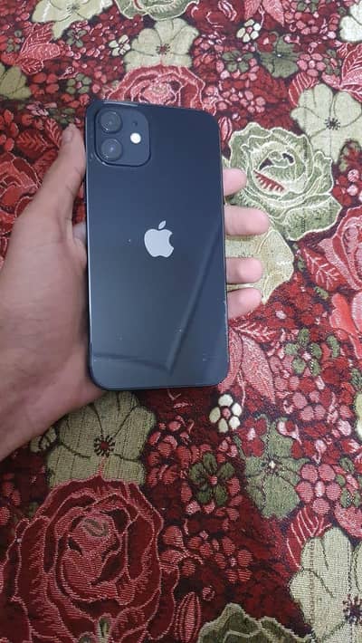 Iphone 12 jv 10/10 lush condition