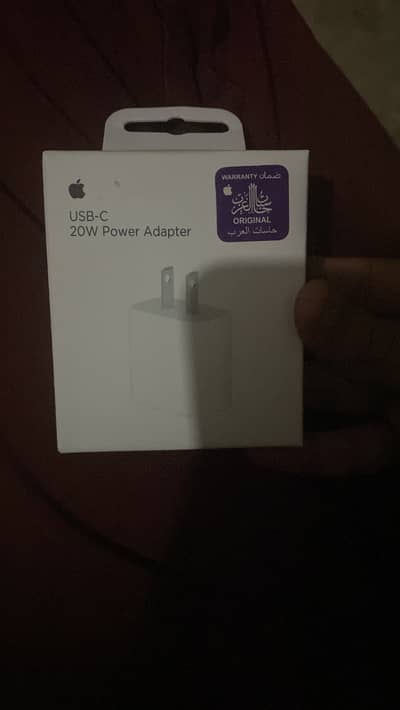 Apple 2 pin 100 person original