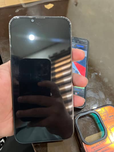 13 Pro Max 256 gb Pta Approved