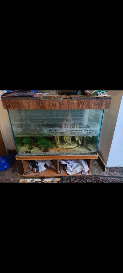 Big size Aquarium