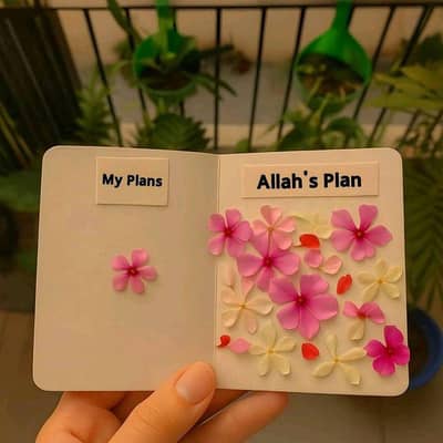 I need job morning shift