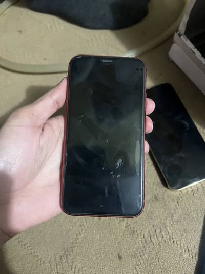 Ip 11 non pta.   64 gb.           Contc nbr.  03709704565