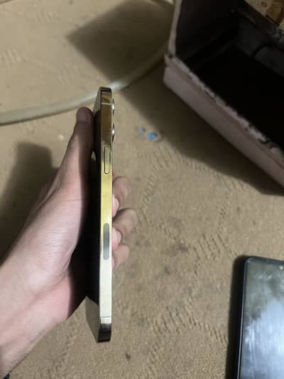 12 promax jb 128 gb.   Gold colour.        Cont nbr.    03709704565