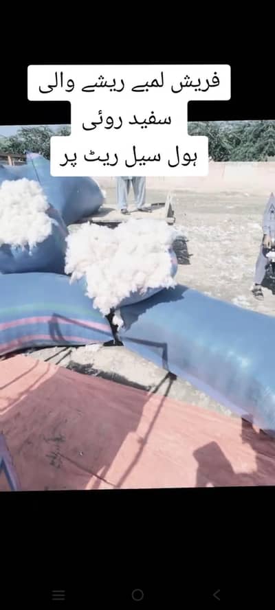 Pure Desi Roi دیسی روئی