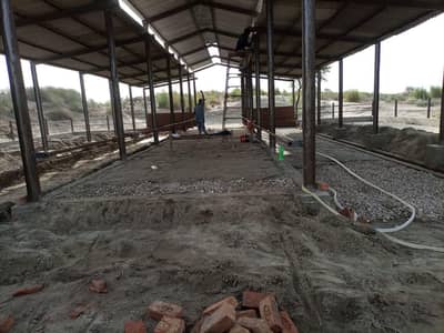 Dairy farm cimpty sheet shed