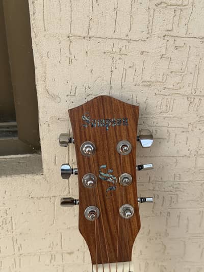 Sampson guitar